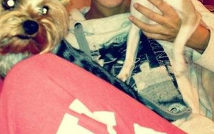 Natalia Siwiec i piesek ze skarpetką na głowie (FOTO)