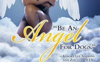 Kimora Lee Simmons zamieni psa w diament