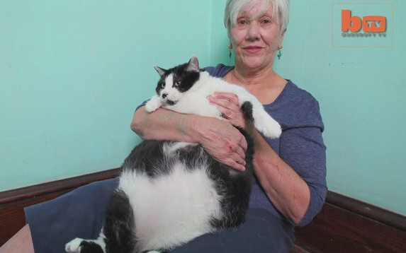 Ten kot jest tak GRUBY, że zamiast chodzić, CZOŁGA się VIDEO