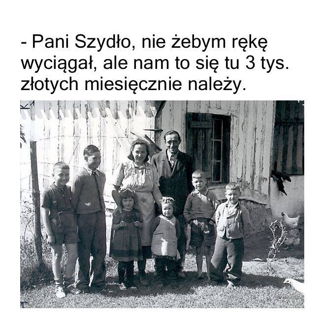 PiS wygrało wybory, internauci komentują