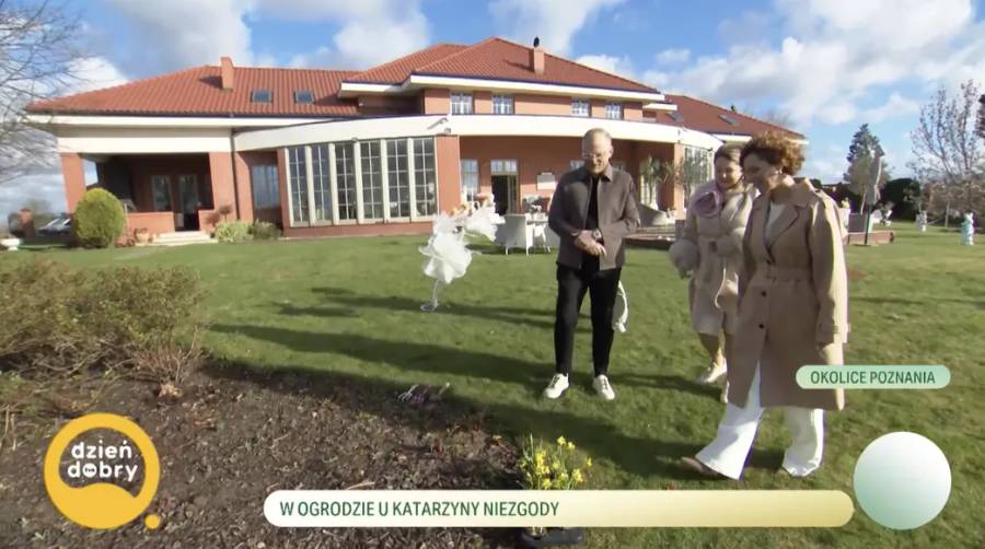 Dom Katarzyny Niezgody screen "Dzień Dobry TVN"
