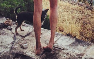 Honey kopiuje Anję Rubik?