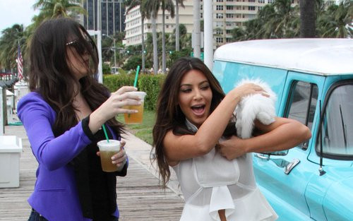 Kim Kardashian i jej kotek