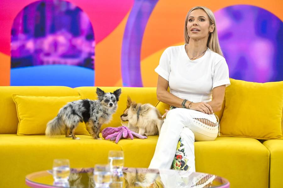 Specjalne spotkanie dla fanów DODY w “Halo Tu Polsat”! Opowiedziała o swoim życiu prywatnym “Jestem wolna” (FOTO)