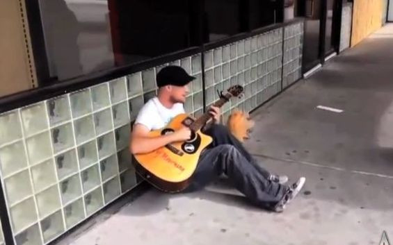 Historia o ulicznym grajku, który dzięki internetowi…