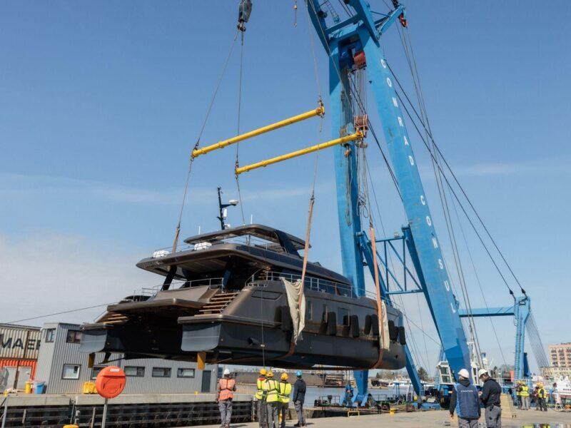  Art Cat Asante fot. Materiały prasowe