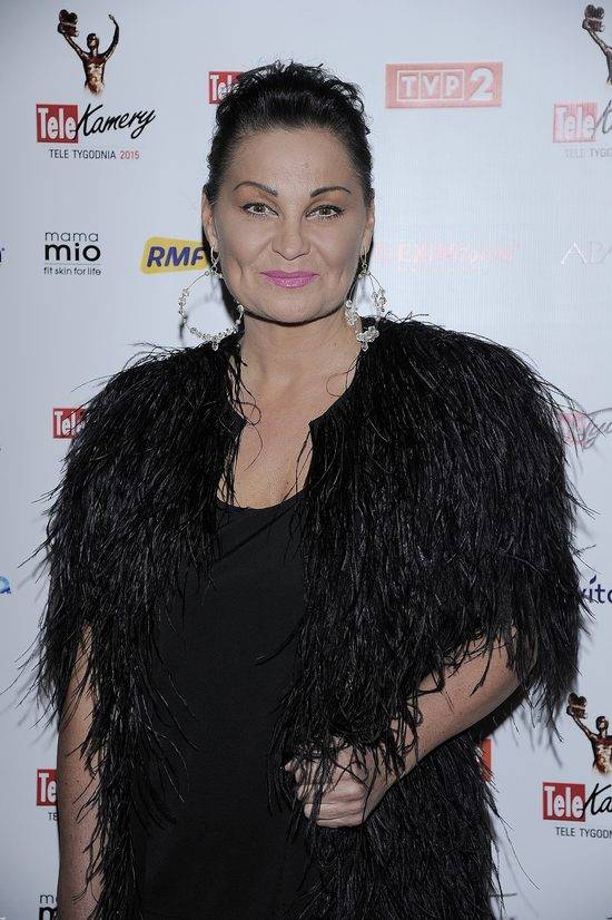 Telekamery 2015 – zdjęcia z czerwonego dywanu