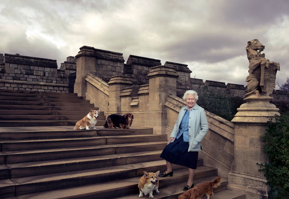 Embargoed to 0001 BST Thursday April 21, 2016. Conditions of use: This image may be used free of charge, internationally, for 21 days from release, until 12th May 2016. For use or reproduction in any format on any platform after this date, please refer to Royal Communications for approval. In this official photograph released by Buckingham Palace to mark her 90th birthday, Queen Elizabeth II is seen walking in the private grounds of Windsor Castle on steps at the rear of the East Terrace and East Garden with four of her dogs: clockwise from top left Willow (corgi), Vulcan (dorgie), Candy (dorgie) and Holly (corgi). PRESS ASSOCIATION Photo. Issue date: Wednesday April 20, 2016. See PA story ROYAL Birthday. Photo credit should read: Annie Leibovitz /PA Wire