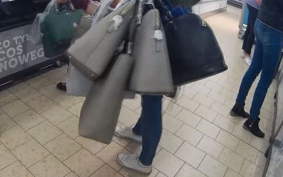 BITWA w Lidlu. Powróciły torebki WITTCHEN (VIDEO)
