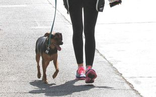 Miley Cyrus: Sama zbudowałam swoje imperium (FOTO)