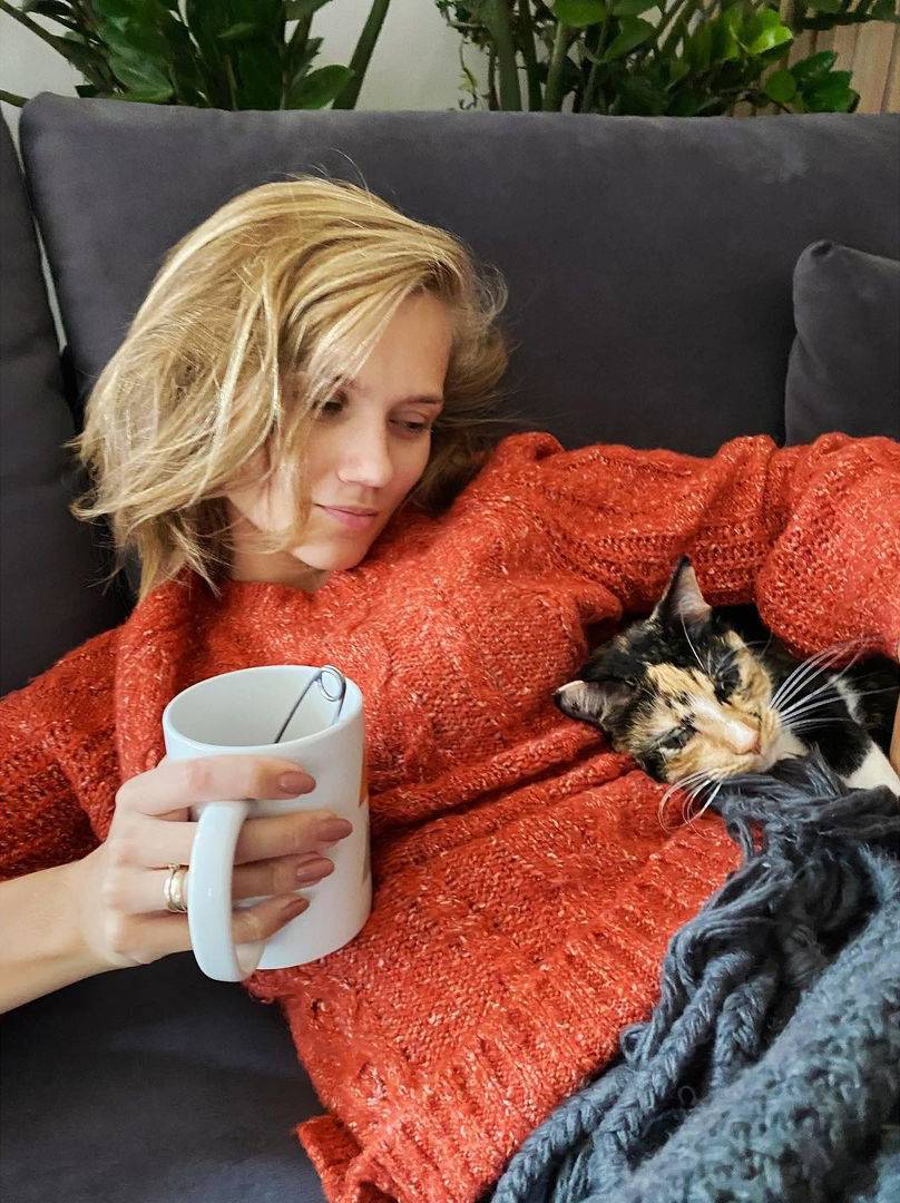 Światowy Dzień Kota: kto ma NAJŁADNIEJSZEGO futrzaka? Sadowska, Wojciechowska a może Jacek Kurski?