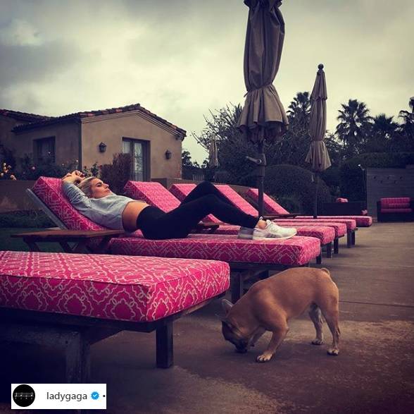 Ogromne ranczo Lady Gagi. Własna stadnina koni i ogródek z warzywami