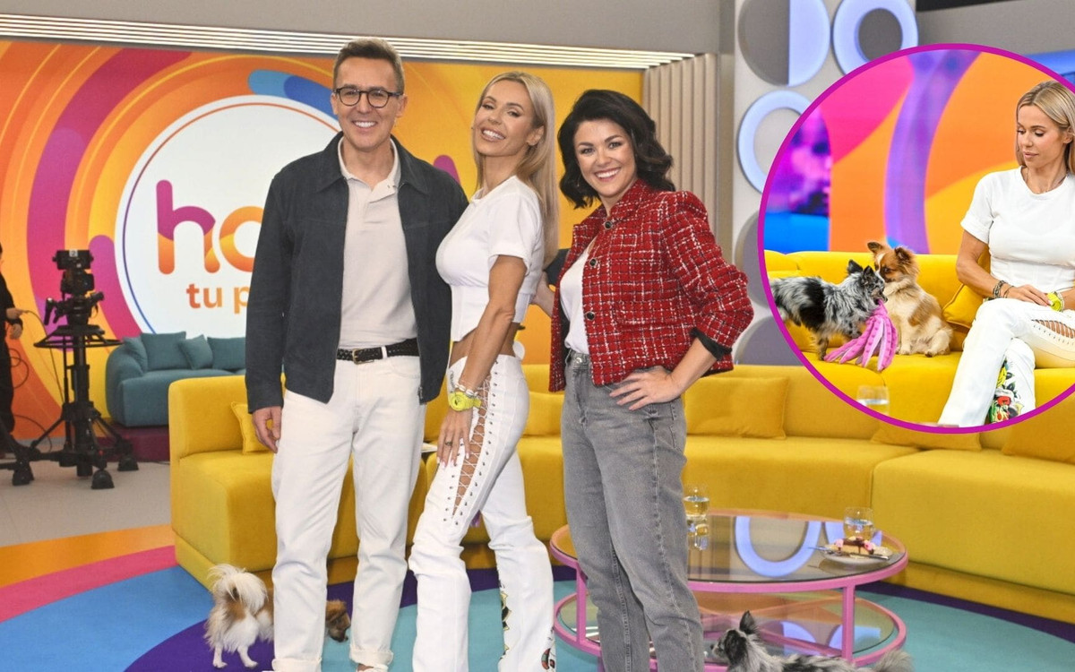 Specjalne spotkanie dla fanów DODY w “Halo Tu Polsat”! Opowiedziała o swoim życiu prywatnym “Jestem wolna” (FOTO)