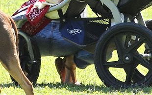 Przepis na udany związek Gisele Bundchen (FOTO)