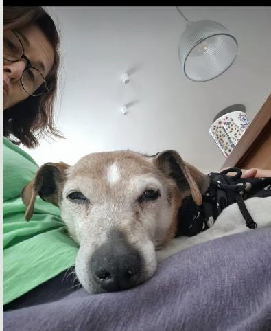 Jolanta Fraszyńska fot, Instagram