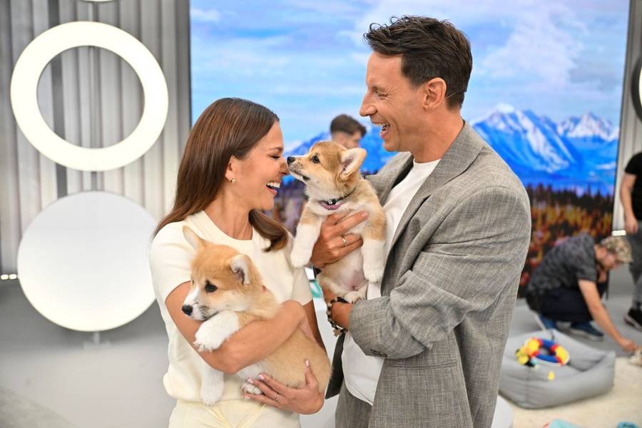 Paulina Sykut-Jeżyna i Tomasz Wolny debiutują w “Halo Tu Polsat”! Widzowie już wydali werdykt (FOTO)