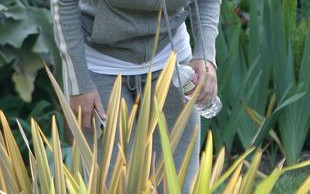 Katy Perry o swoim rozwodzie dowiedziała się przez smsa!