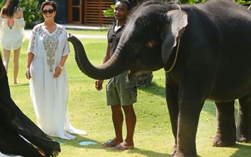 Słoń zrobił Kim Kardashian Prima Aprilis (FOTO)