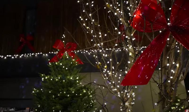 Dom Andziaks/YouTube