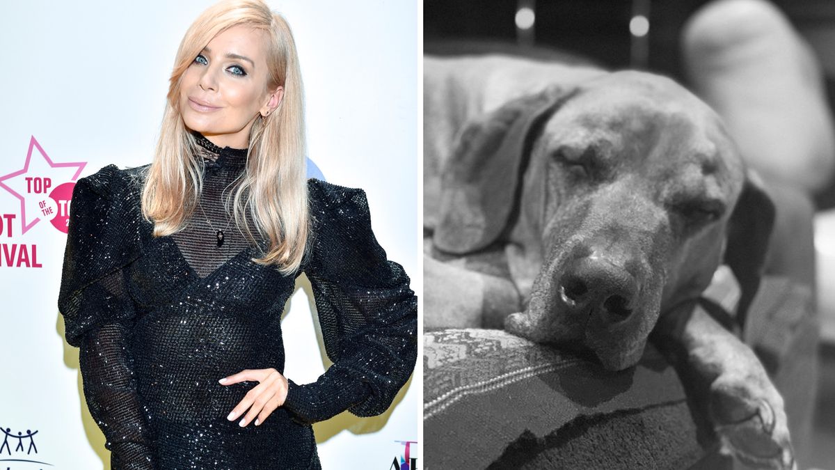 Agnieszka Woźniak-Starak pożegnała psa, fot. AKPA / Instagram