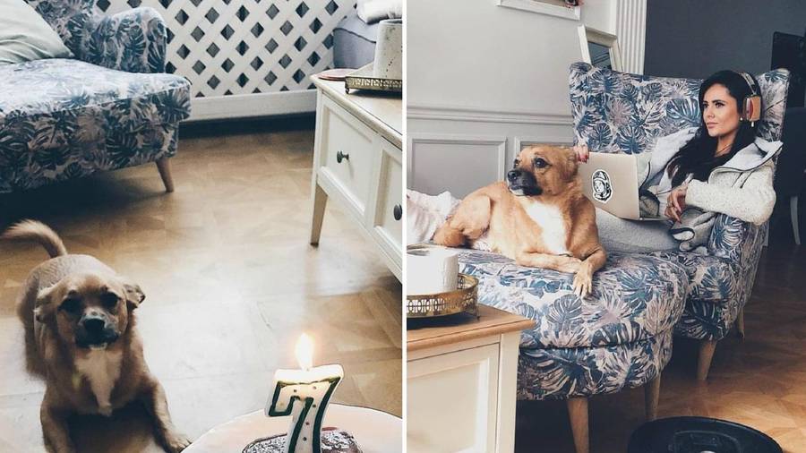 Mieszkanie Gabi Drzewieckiej