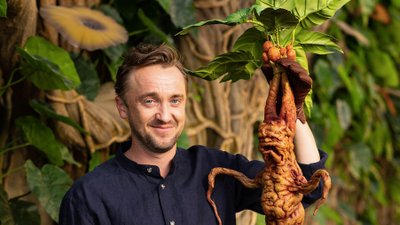 Tom Felton ośmieszony. Fani gwiazdora Harry’ego Pottera zachęcają, by znalazł “prawdziwą pracę”