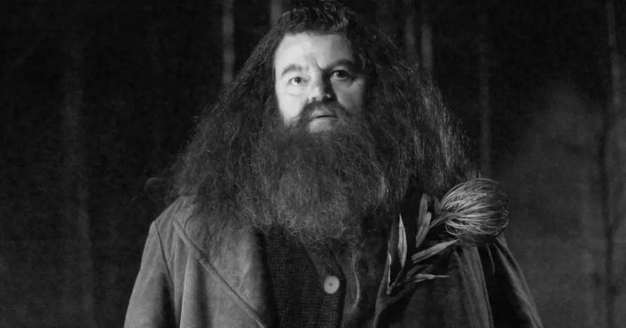 Oni odeszli w 2022 roku. Pożegnaliśmy wiele kultowych postaci