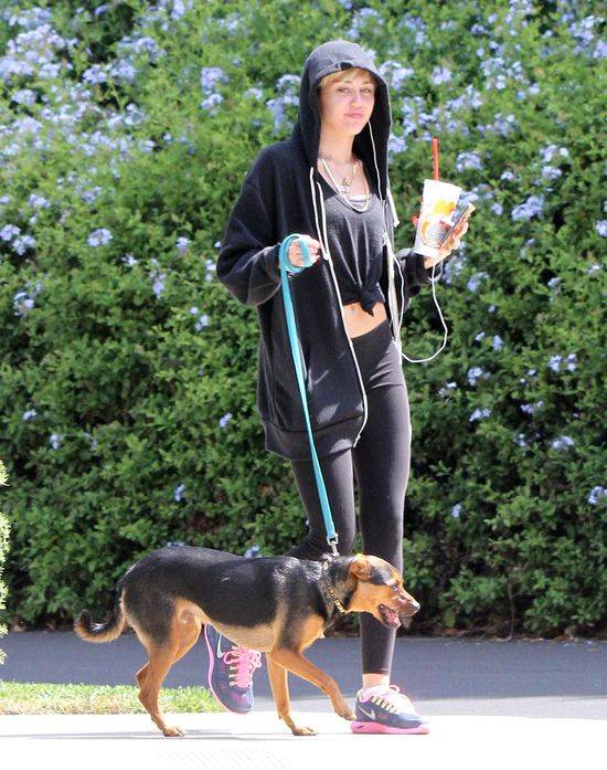 Miley Cyrus z psem na spacerze