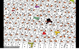 Hit internetu! Znajdź pandę wśród bałwanków