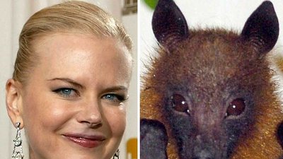 Nicole Kidman wygląda jak nietoperz (FOTO)