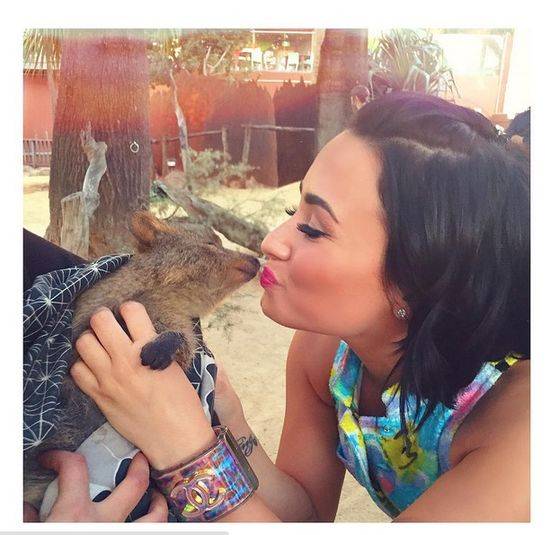 Te gwiazdy mają najwięcej fanów na Instagramie