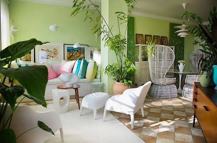 Dżungla w środku Warszawy. Tak mieszka Marcin Tyszka