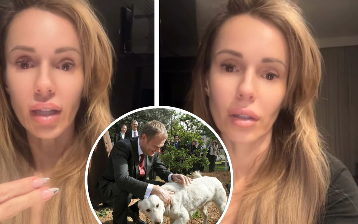 Doda grzmi po decyzji Tuska ws. schroniska w Sobolewie. Zimny prysznic dla wszystkich