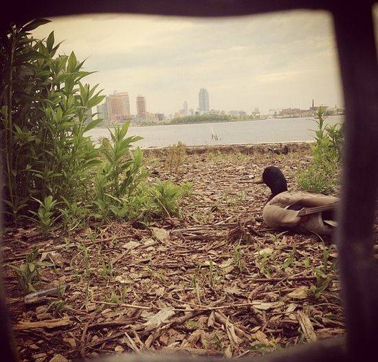 Anna Przybylska na instagramie