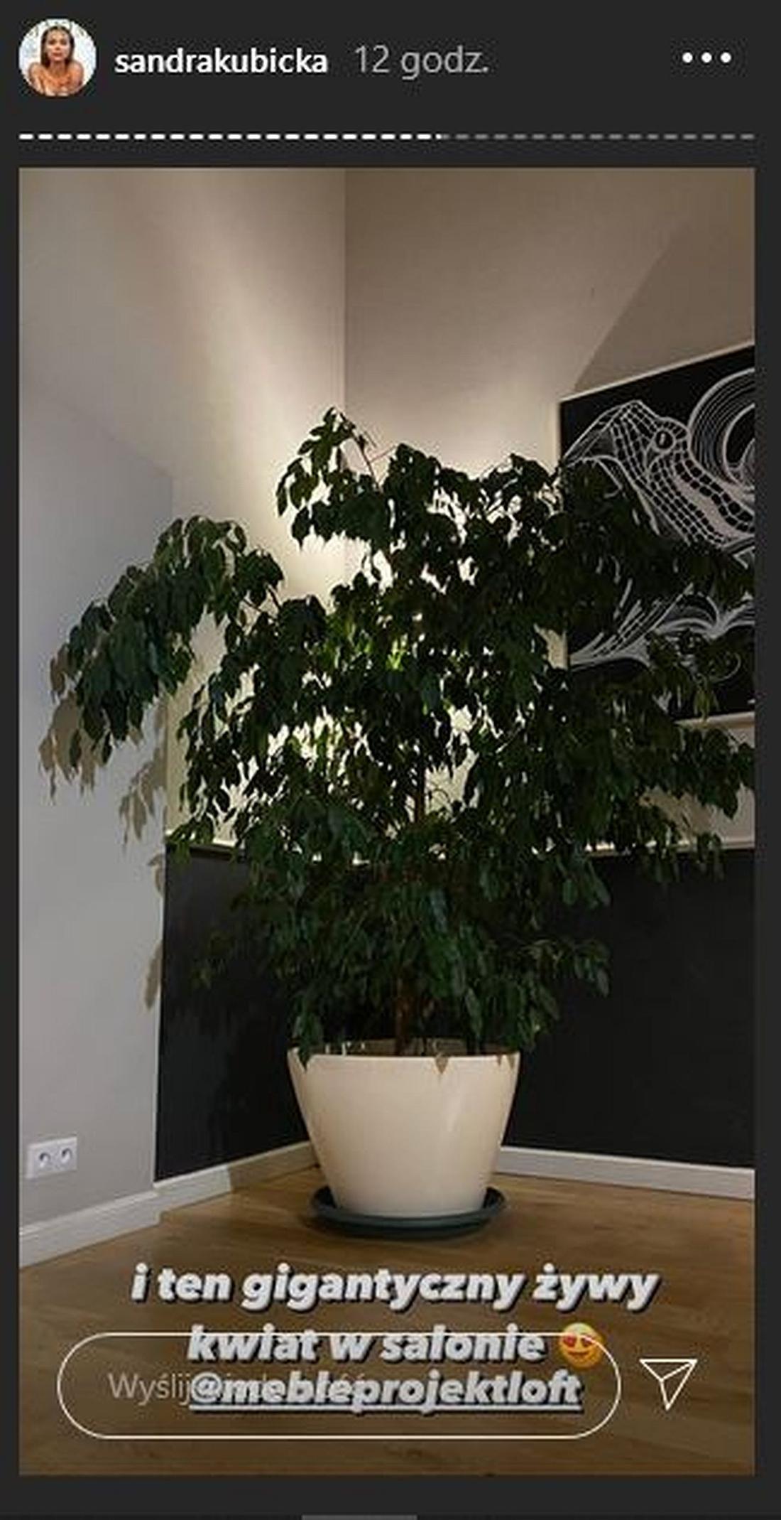 Sandra Kubicka ma w domu żywe rośliny