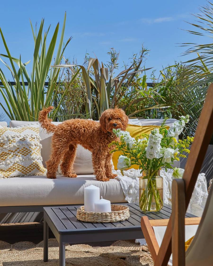 Tak w środku miasta wypoczywa Julia Wieniawa, fot. Instagram