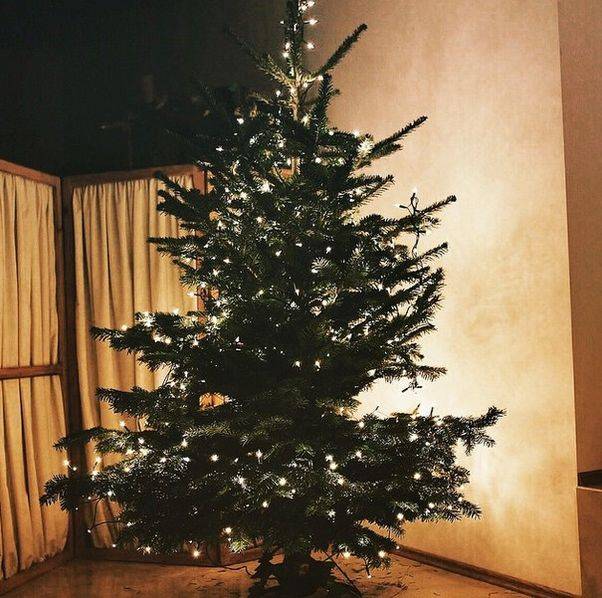 Jak wyglądają święta u gwiazd?