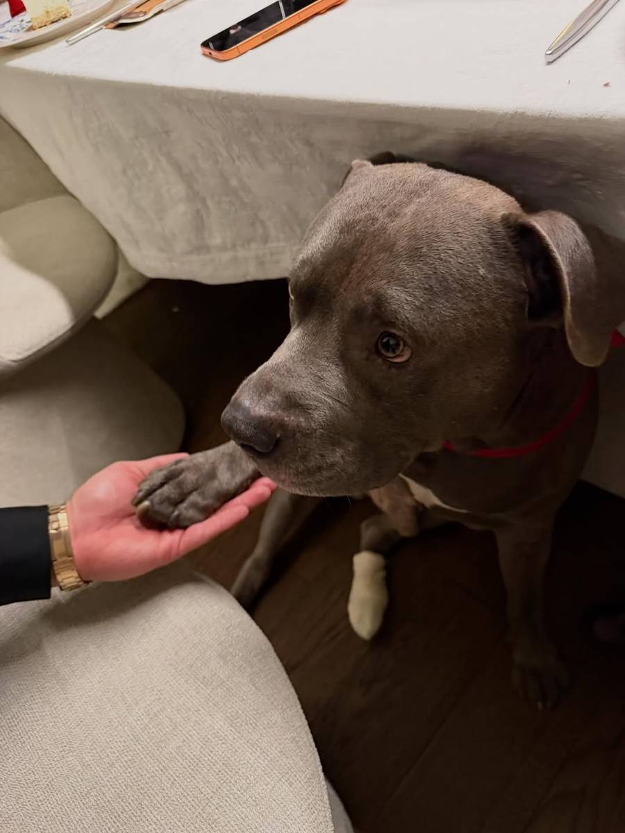 Święta u Karoliny Pisarek, fot. Instagram