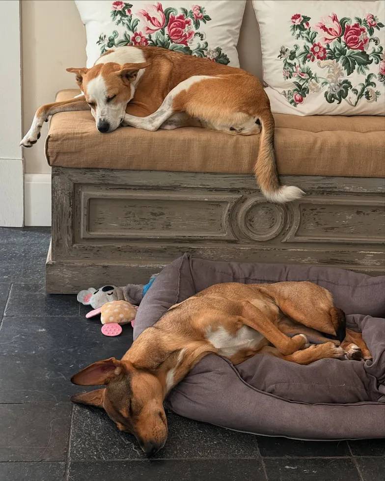 Badach, Kwaśniewska dom fot.Instagram/aleksandraleksandrowna