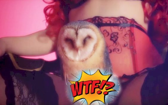 SexMasterka nagrała TO, a internauci płaczą ze śmiechu (VIDEO)