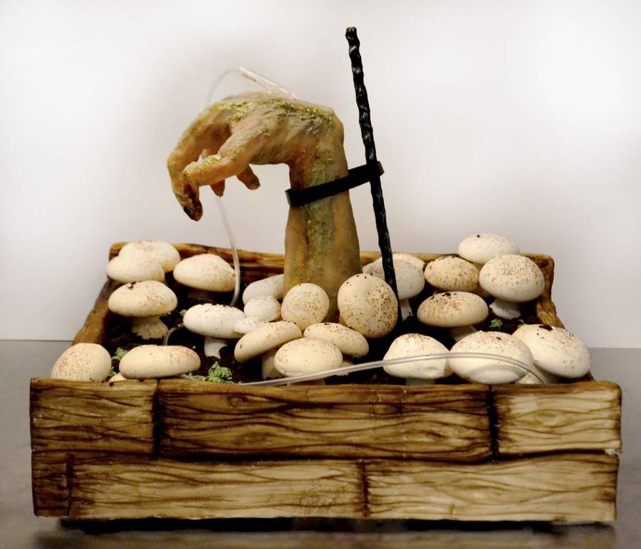 KOSZMAR! Ta kobieta robi przerażające halloweenowe torty