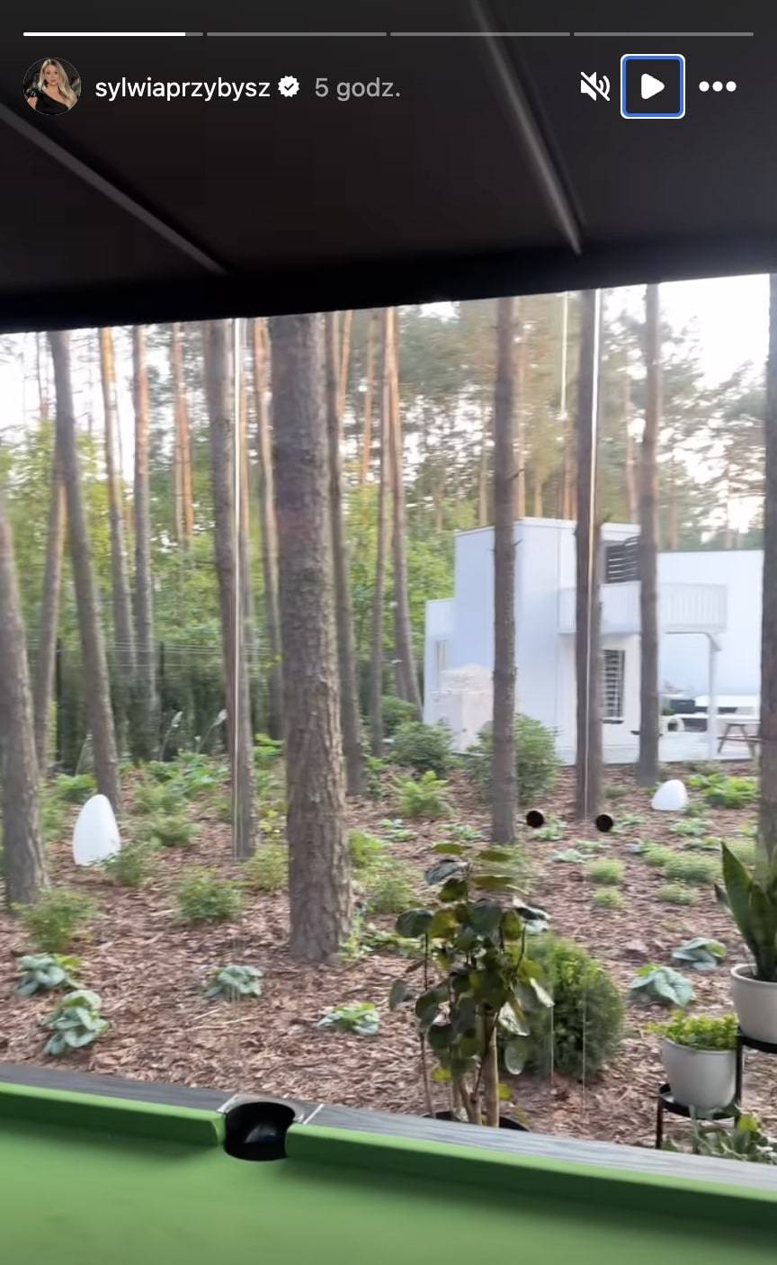 Sylwia Przybysz pokazała swój ekskluzywny OGRÓD! Stół do bilarda, fontanny i piękny las (FOTO)