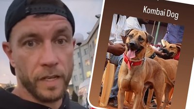 6-letni chrześniak Darka Pachuta został ZAATAKOWANY przez psa! DRASTYCZNE zdjęcia