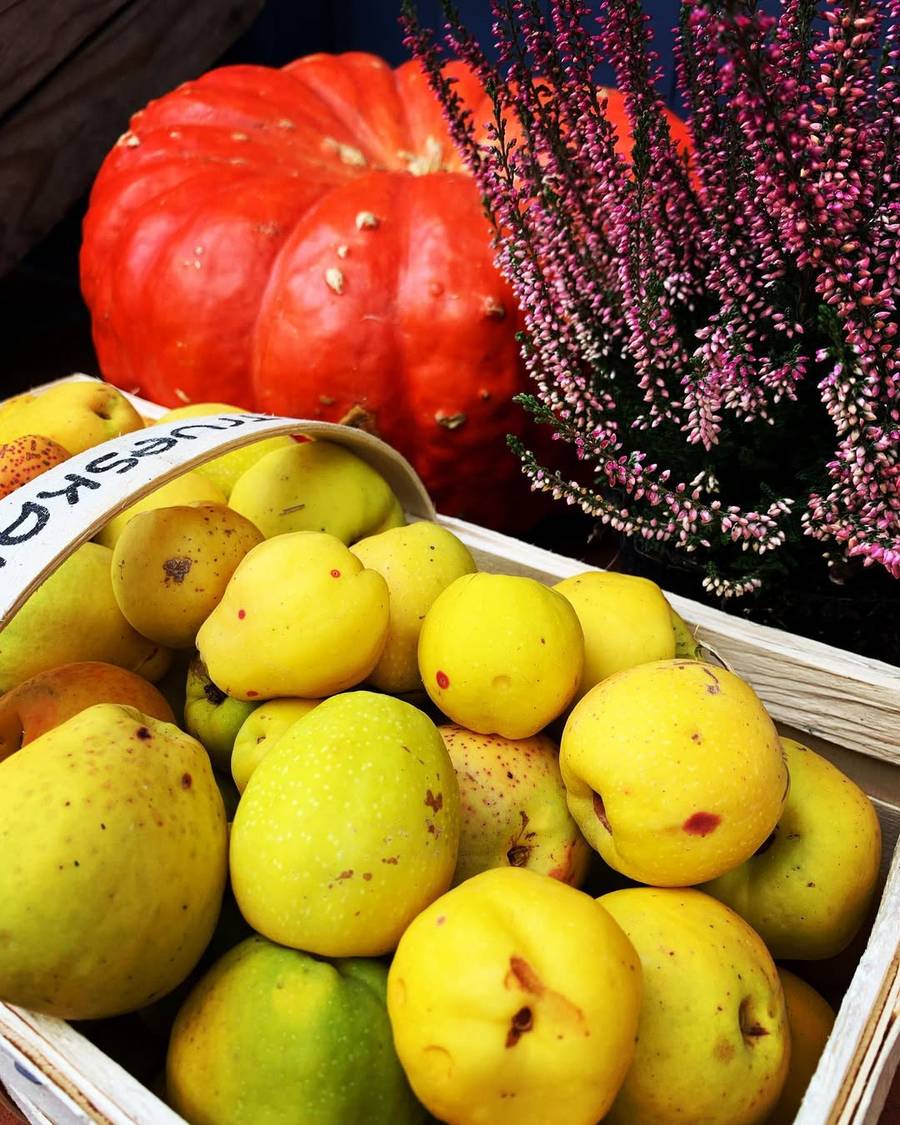 Marcin Rogacewicz, fot. Instagram.