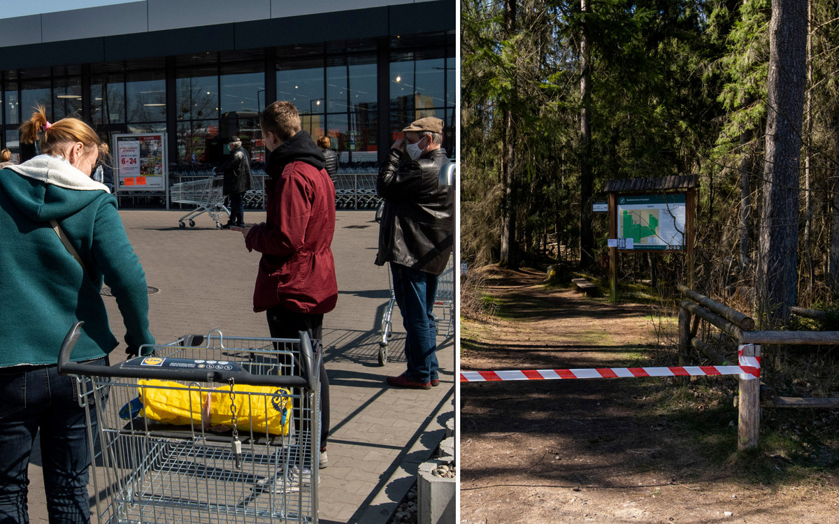Kiedy wejdziemy do lasu? Kiedy otworzą galerie handlowe i salony fryzjerskie?