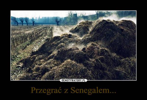 Memy po meczu Polska – Senegal