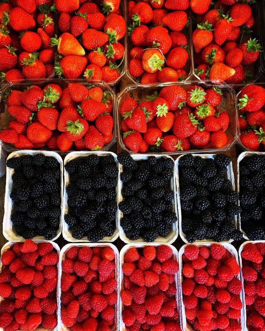 Marcin Rogacewicz, fot. Instagram.