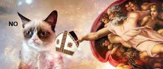 Grumpy Cat – śmieszne obrazki