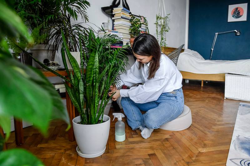 Dagmara Bryzek pokazała swoje mieszkanie. Uwielbia zajmować się swoimi roślinami