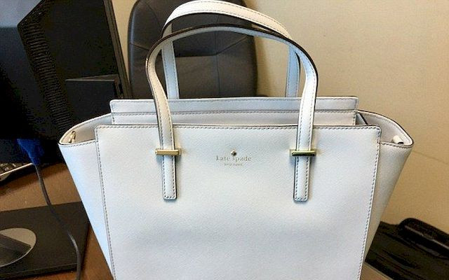 Ta torebka PODZIELIŁA Internautów! Jest niebieska, czy biała?